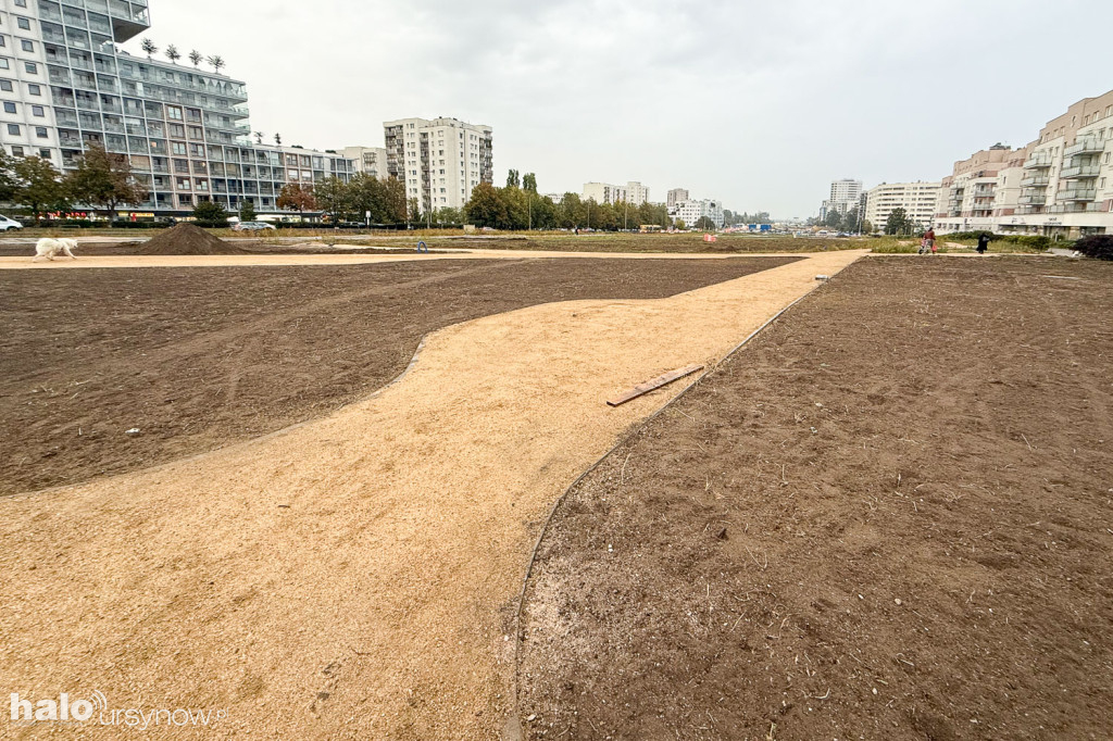 Tak wygląda dziś przyszły Park nad POW