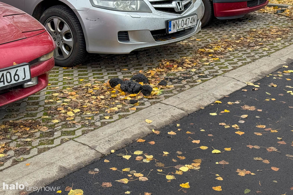 Parking przy Kulczyńskiego jak nowy