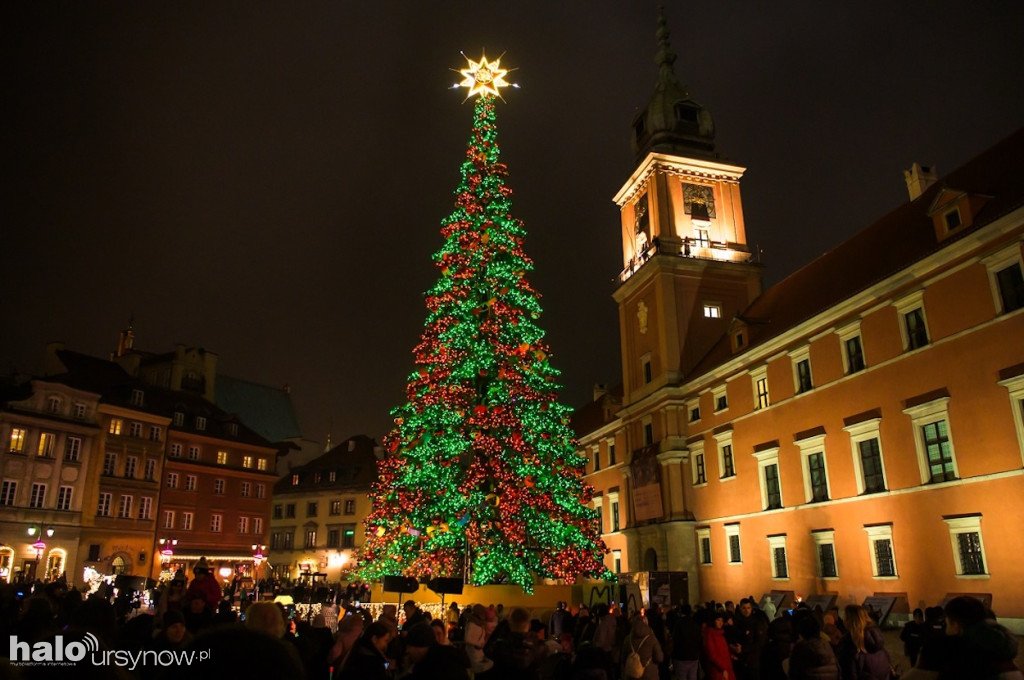 Rozbłysły choinka i iluminacja w centrum Warszawy