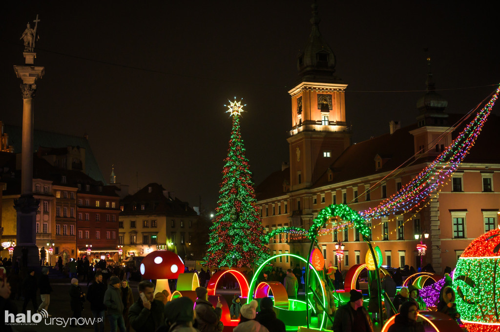 Rozbłysły choinka i iluminacja w centrum Warszawy