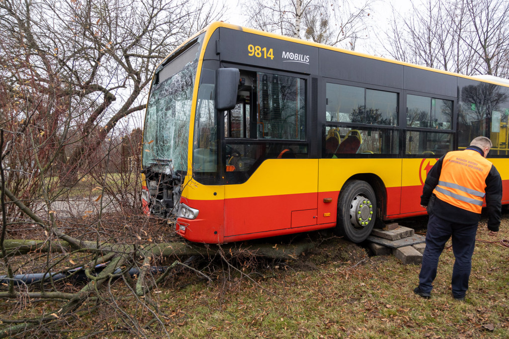 Miejski autobus skosił latarnię i wjechał w drzewa