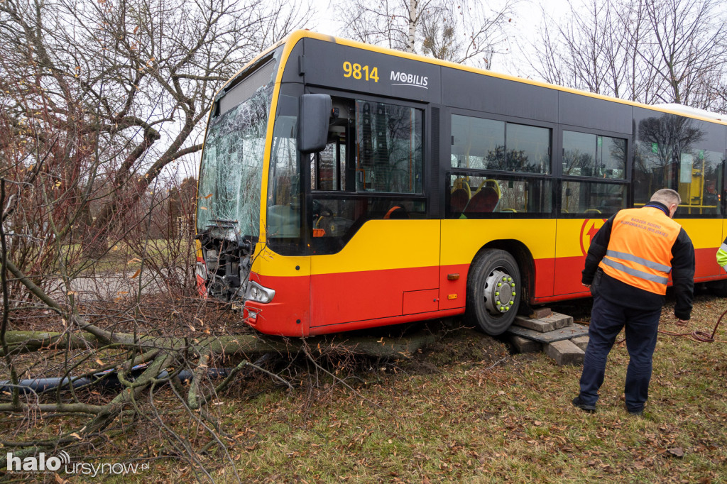 Miejski autobus skosił latarnię i wjechał w drzewa