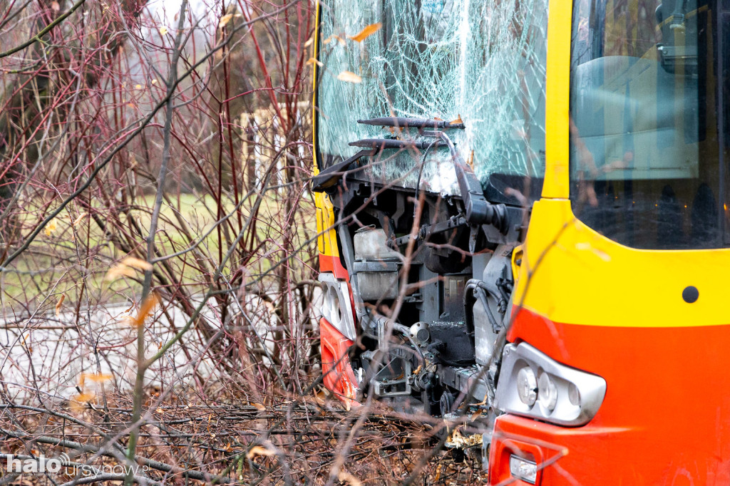 Miejski autobus skosił latarnię i wjechał w drzewa