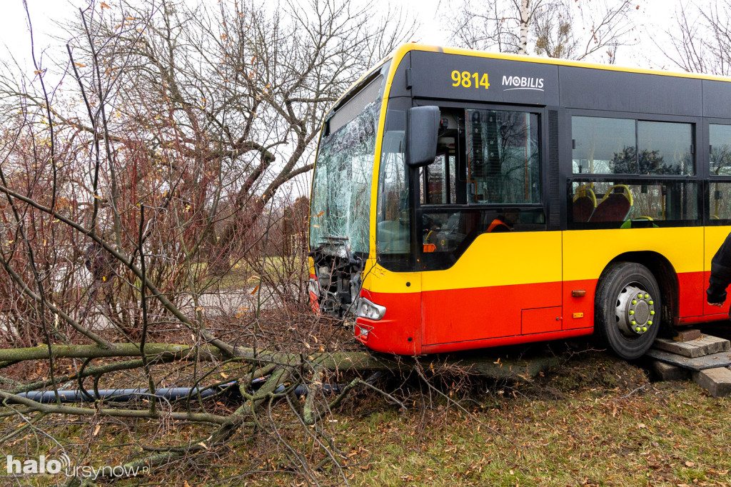 Miejski autobus skosił latarnię i wjechał w drzewa