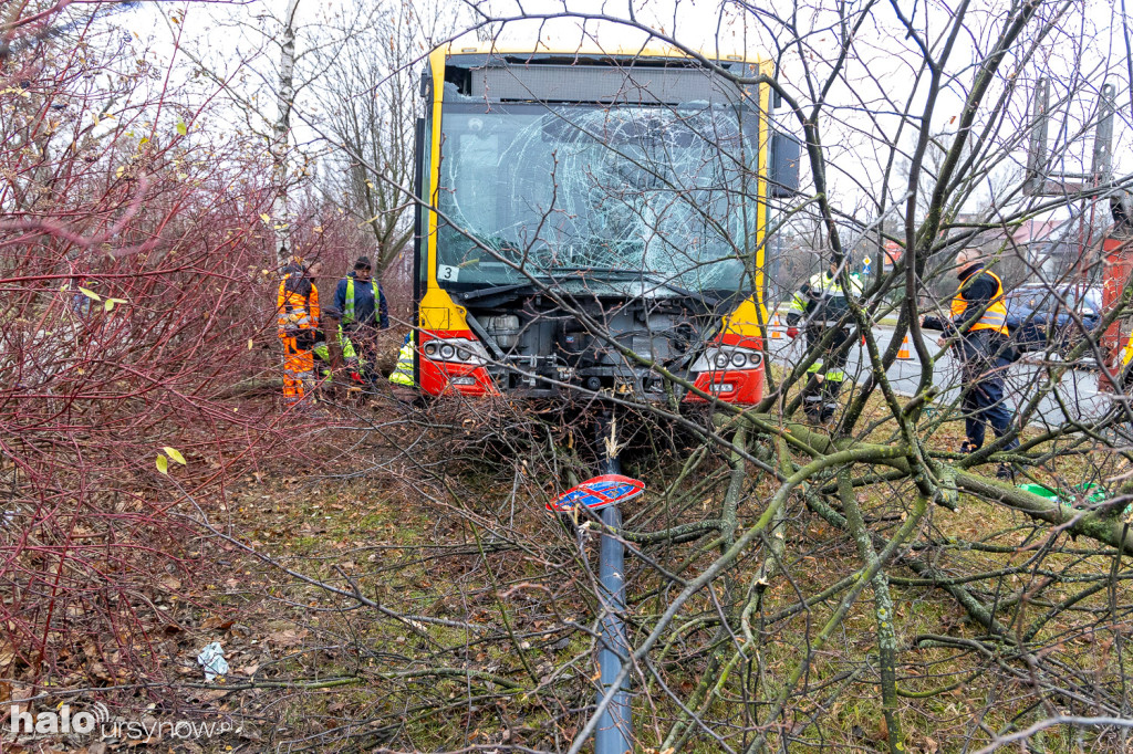 Miejski autobus skosił latarnię i wjechał w drzewa