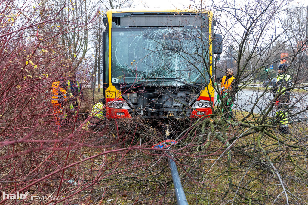 Miejski autobus skosił latarnię i wjechał w drzewa