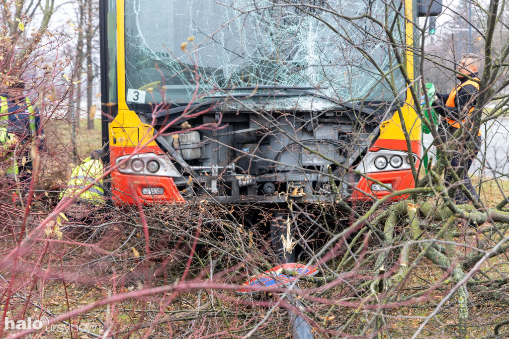 Miejski autobus skosił latarnię i wjechał w drzewa