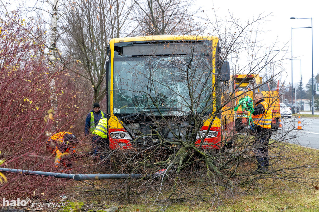 Miejski autobus skosił latarnię i wjechał w drzewa