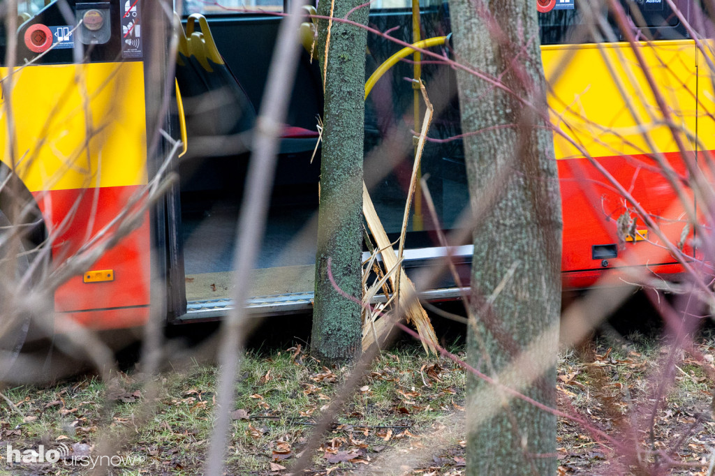 Miejski autobus skosił latarnię i wjechał w drzewa