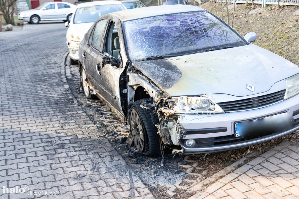 Pożar altanki. 9 aut uszkodzonych