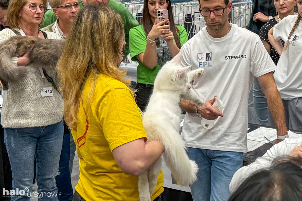 Wystawa kotów w Arenie Ursynów