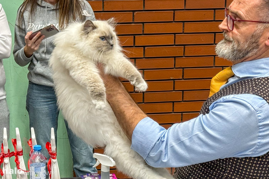 Wystawa kotów w Arenie Ursynów