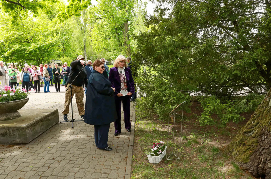 Dąb Józef na Ursynowie. Ku pamięci nestora