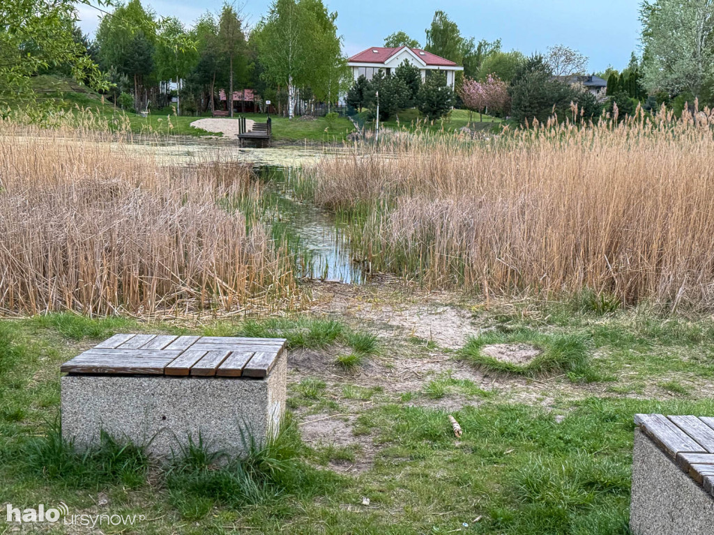 Niszczeje teren wokół jeziora Zgorzała