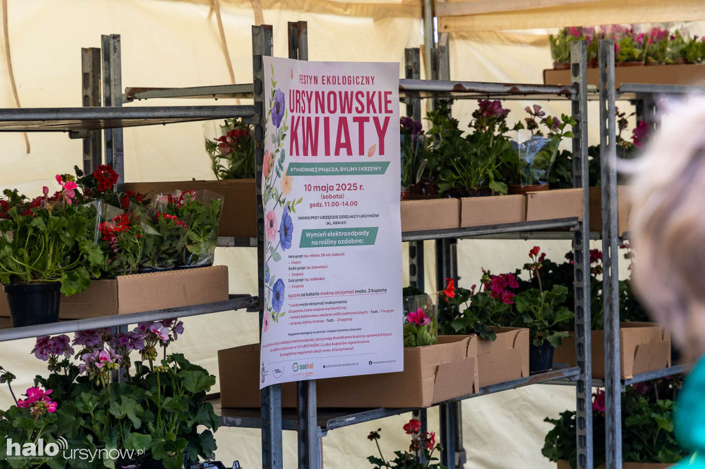 Ursynowskie Kwiaty z rekordem!