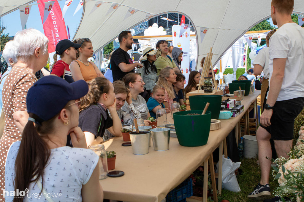 Piknik rodzinny na Dniach Ursynowa