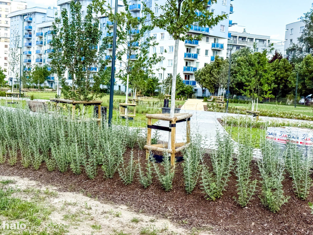 Budowa Parku nad tunelem POW