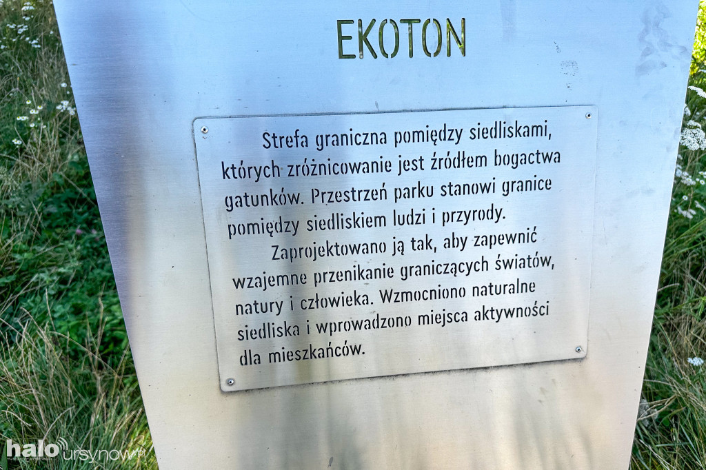 Park Cichociemnych po dwóch latach użytkowania