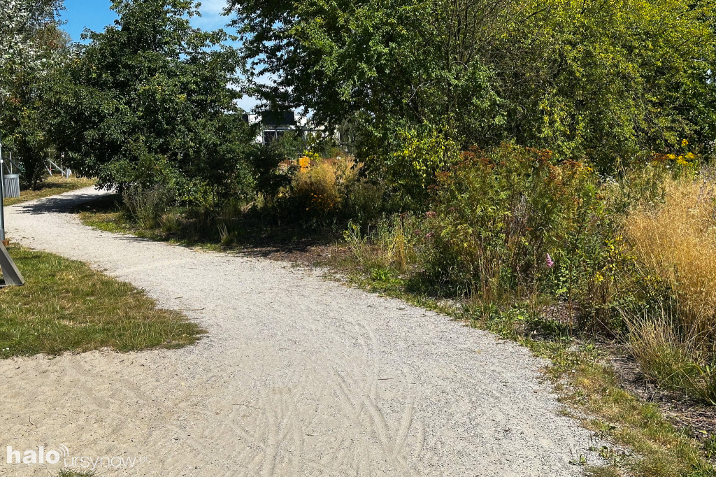 Park Cichociemnych po dwóch latach użytkowania