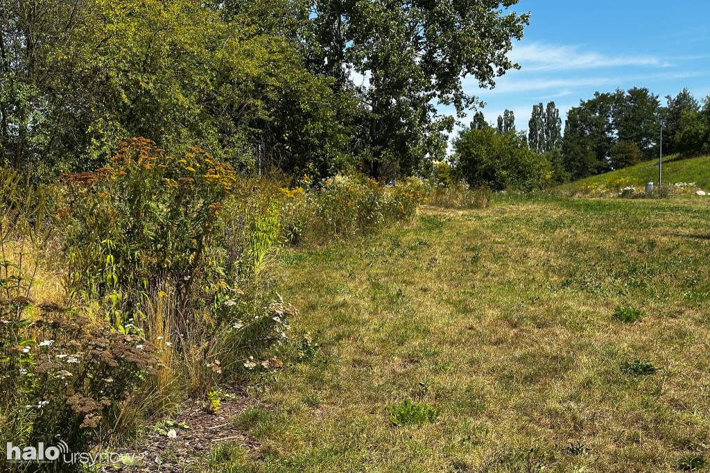 Park Cichociemnych po dwóch latach użytkowania