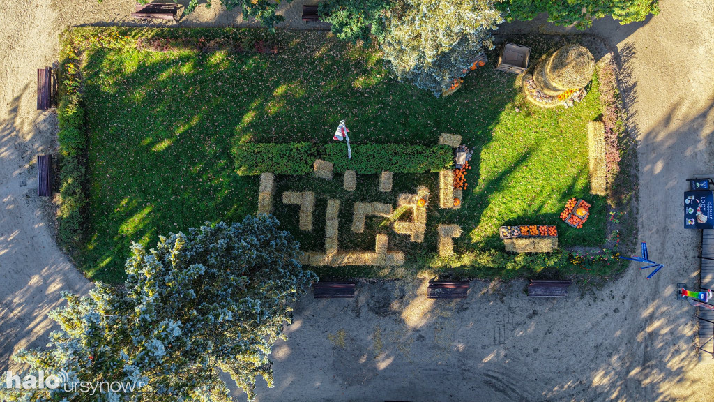 Wandale zniszczyli farmę dyń w Powsinie