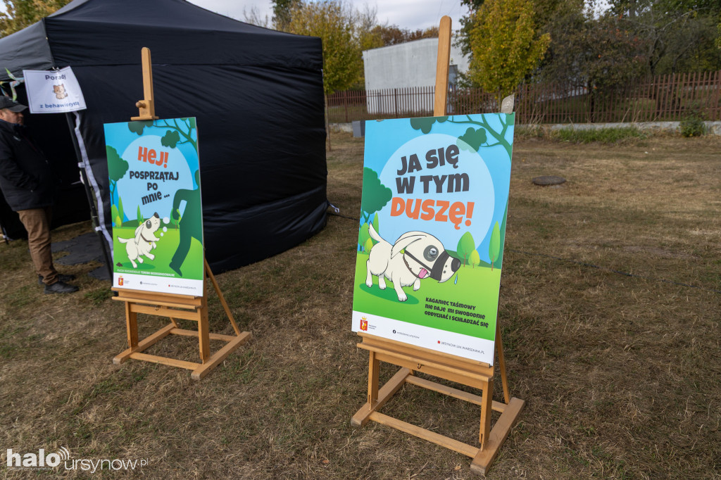 Zwierzęta w wielkim mieście. Piknik na Ursynowie
