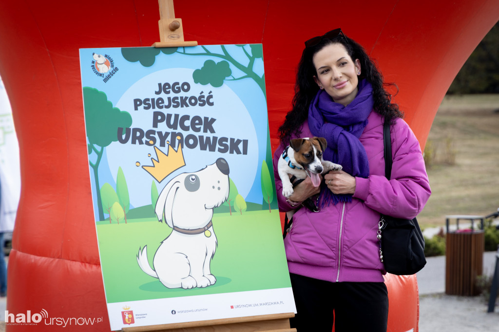 Zwierzęta w wielkim mieście. Piknik na Ursynowie