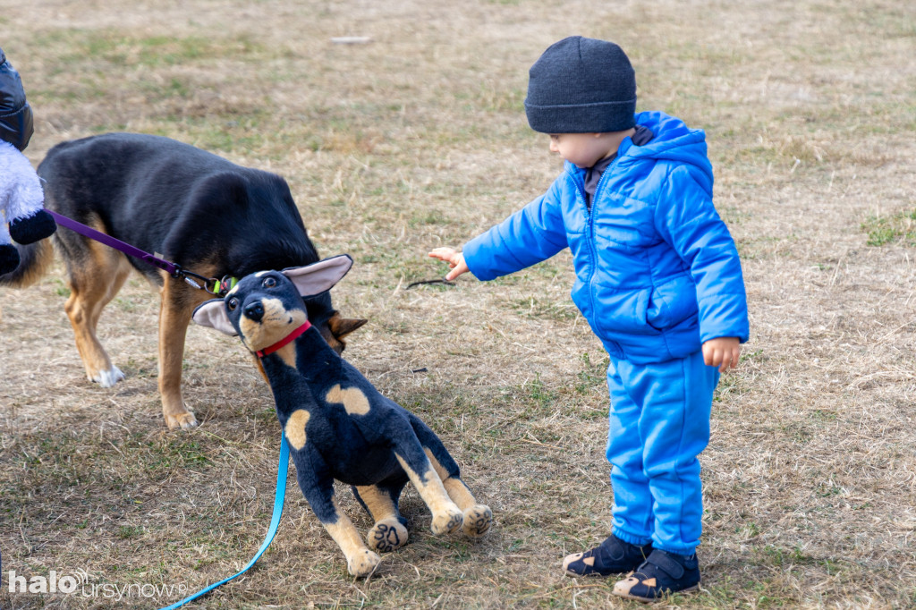Zwierzęta w wielkim mieście. Piknik na Ursynowie