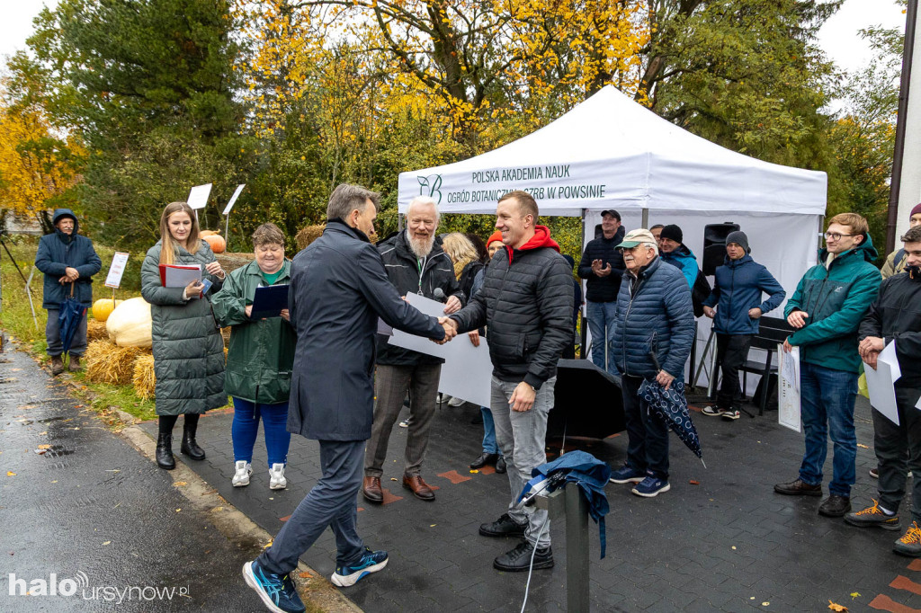 Konkurs dyń w Powsinie