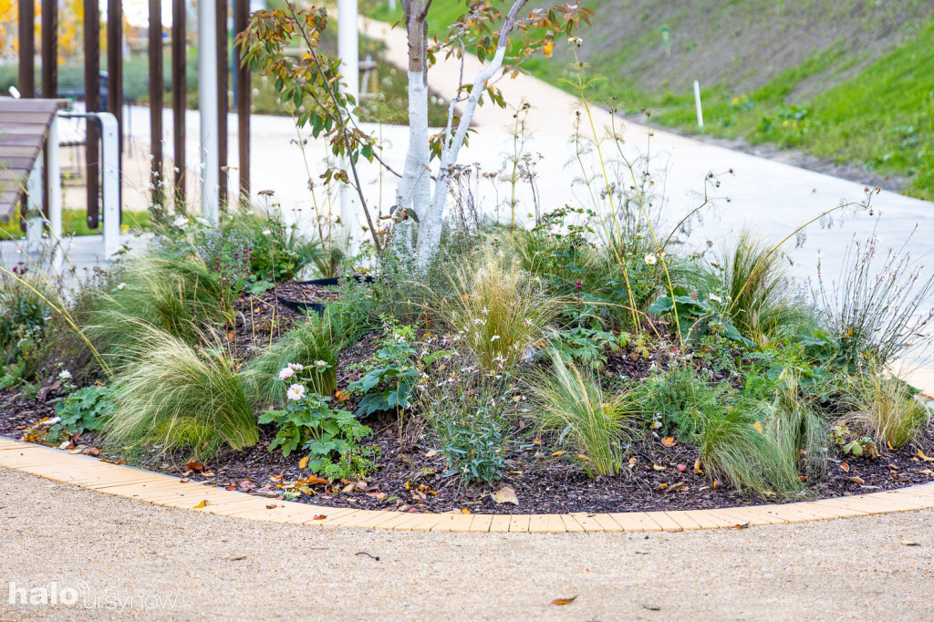 Park nad POW. Kolejna część prawie gotowa!