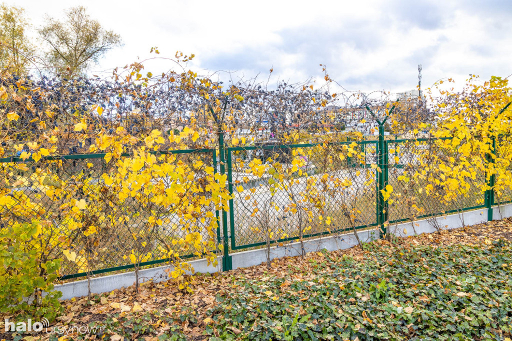 Park nad POW. Kolejna część prawie gotowa!