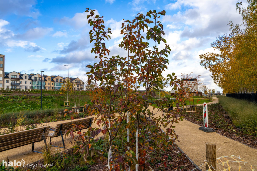Park nad POW. Kolejna część prawie gotowa!