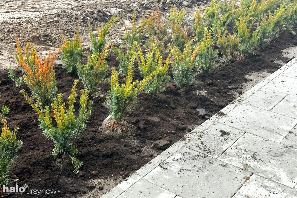 Reorganizacja ruchu na Ciszewskiego