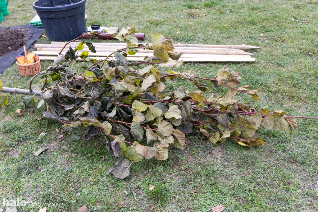 Uroczystość upamiętniająca Jastrzębowskiego