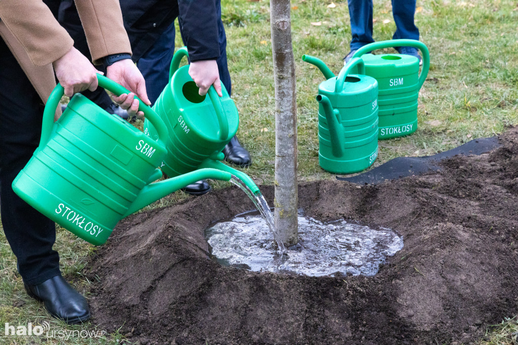 Uroczystość upamiętniająca Jastrzębowskiego