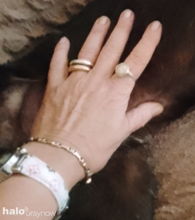 Skradziona biżuteria. Rozpoznajesz?