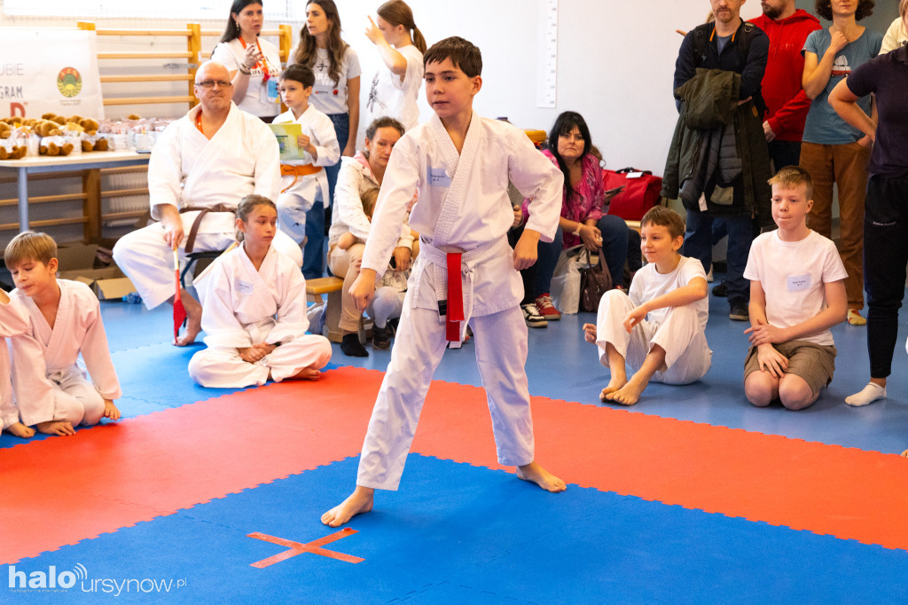 IV Puchar Burmistrza Ursynowa w Karate Tradycyjnym