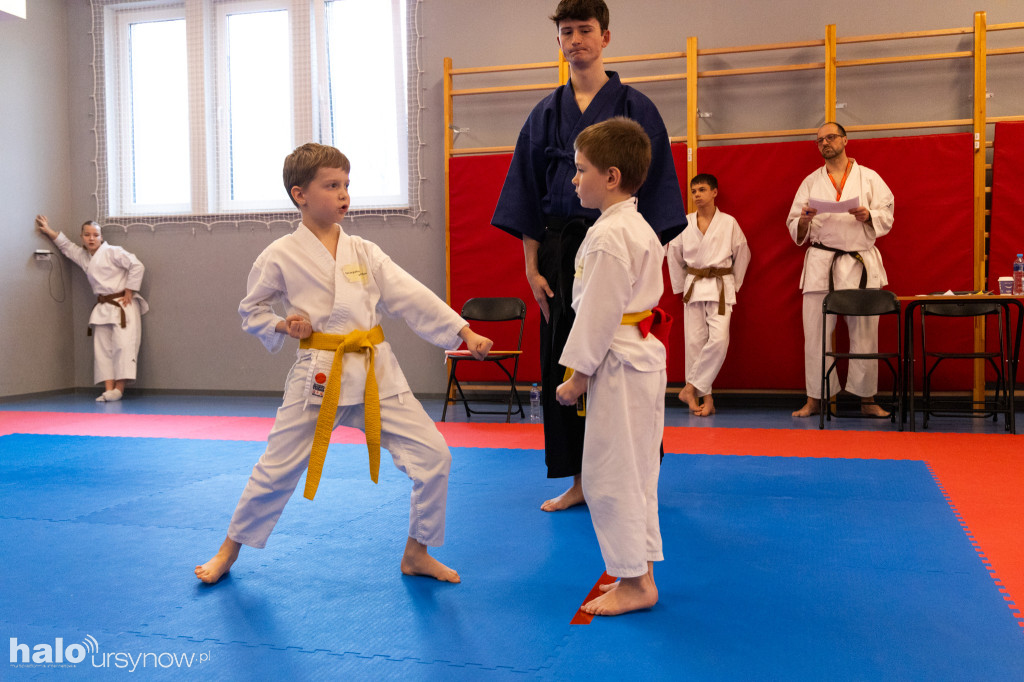 IV Puchar Burmistrza Ursynowa w Karate Tradycyjnym