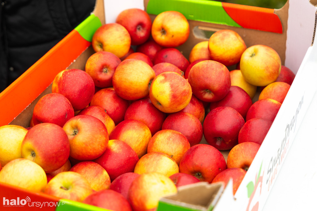 III bieg Run Ursynów