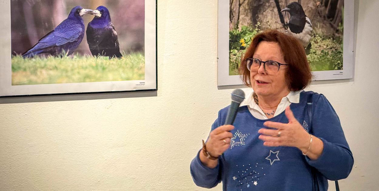 Fascynujący Świat Ptaków Hanny Żelichowskiej