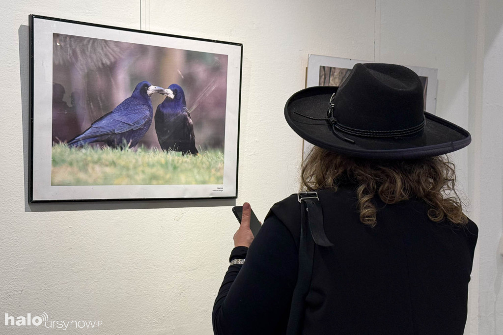 Fascynujący Świat Ptaków Hanny Żelichowskiej
