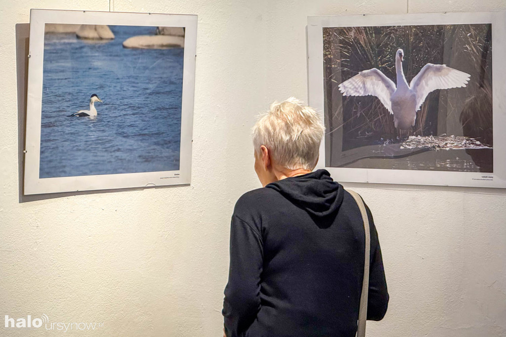 Fascynujący Świat Ptaków Hanny Żelichowskiej