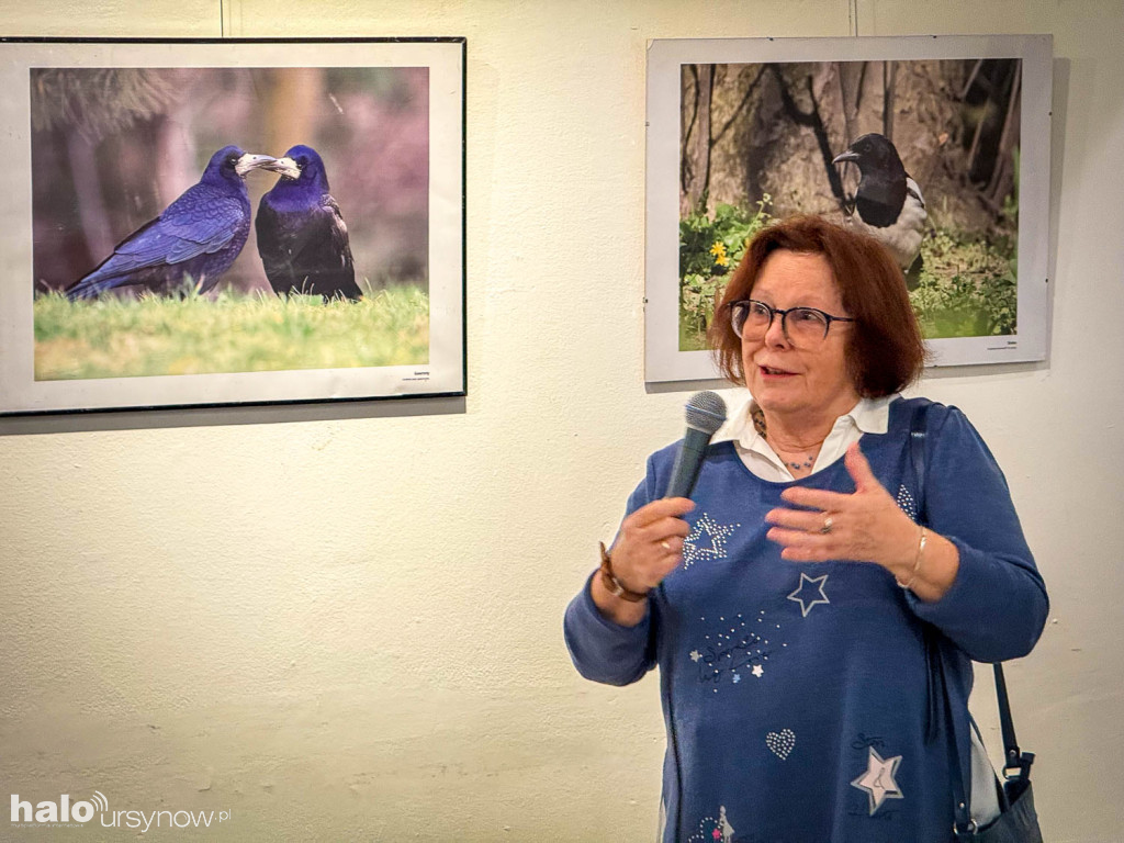 Fascynujący Świat Ptaków Hanny Żelichowskiej