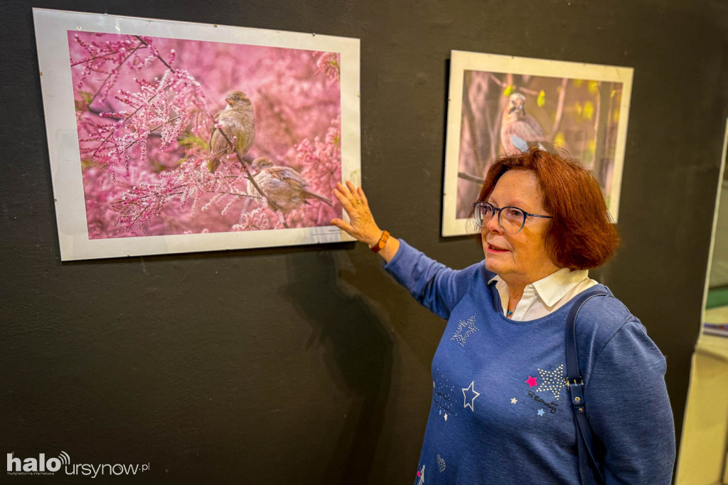 Fascynujący Świat Ptaków Hanny Żelichowskiej
