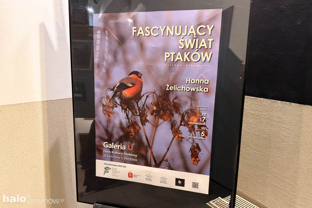 Fascynujący Świat Ptaków Hanny Żelichowskiej