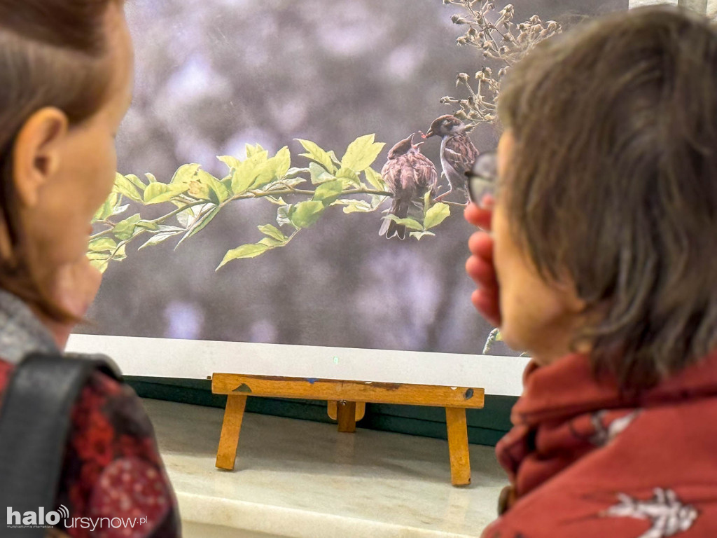 Fascynujący Świat Ptaków Hanny Żelichowskiej