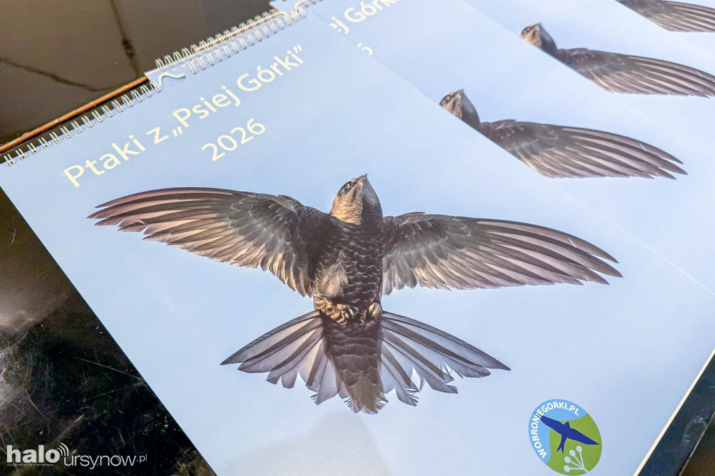 Fascynujący Świat Ptaków Hanny Żelichowskiej