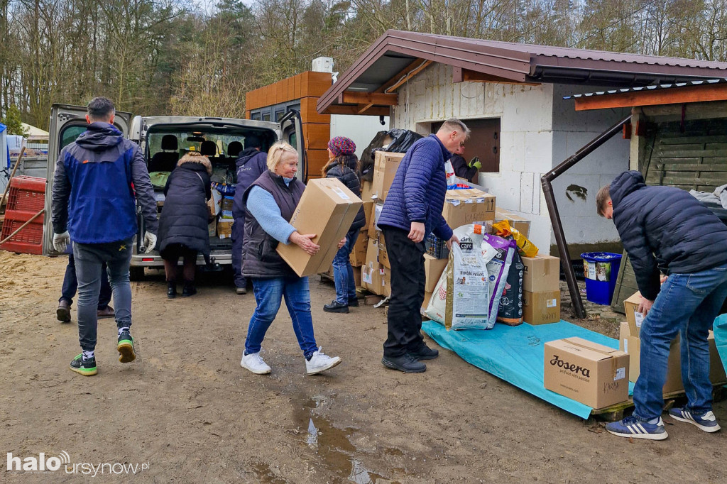 Alert dla zwierząt. Rekordowa zbiórka