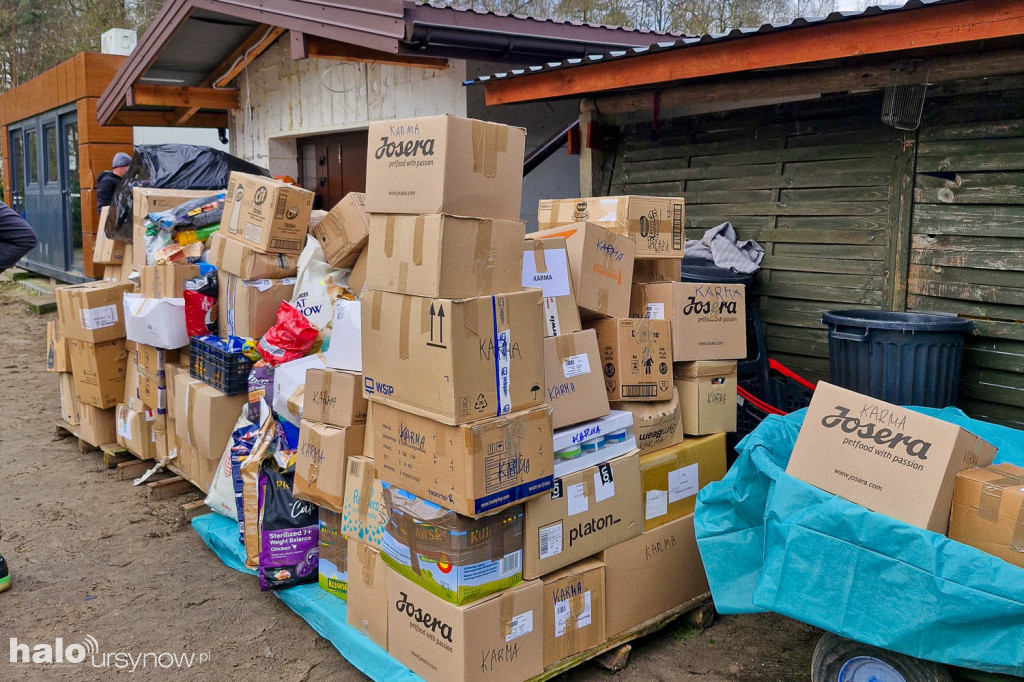 Alert dla zwierząt. Rekordowa zbiórka