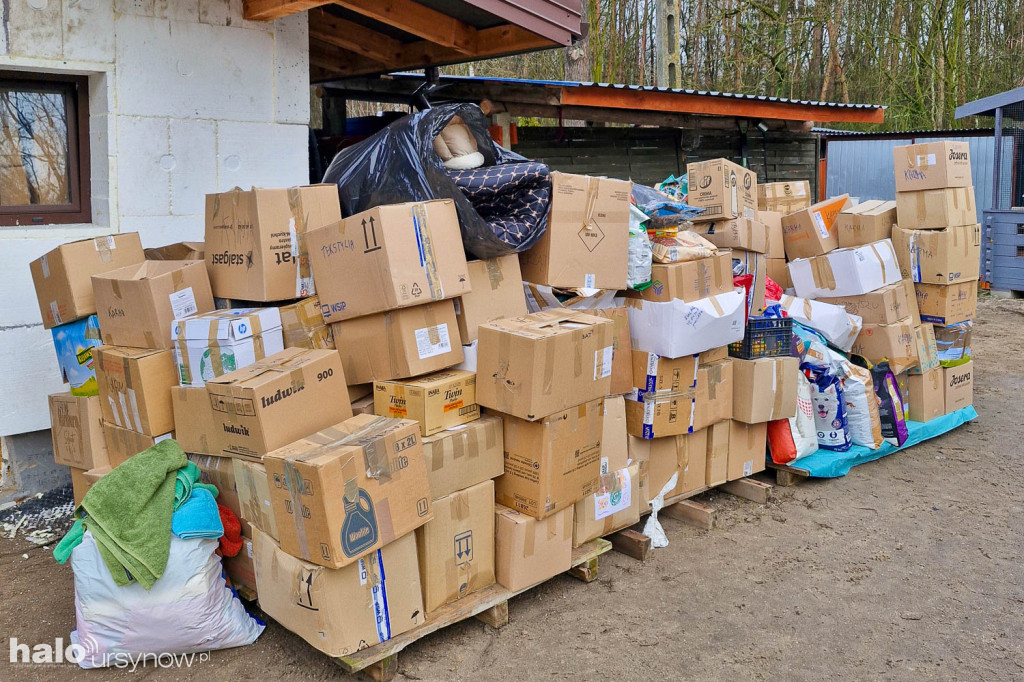 Alert dla zwierząt. Rekordowa zbiórka